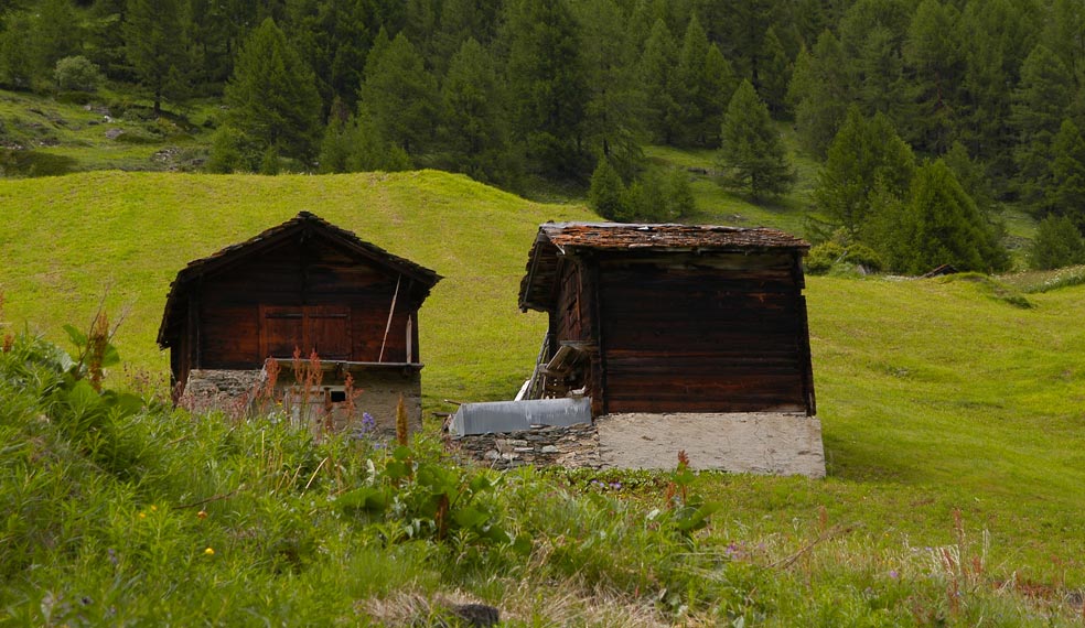 Two Stubli's in an Alpine meadow high above Zeramtt